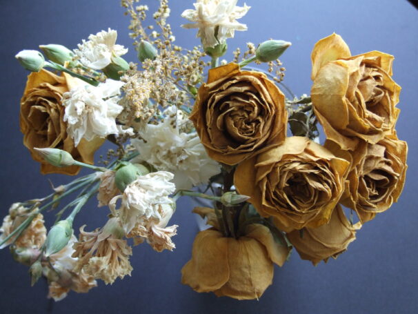 Preserving Beauty: Caring for Dried Blooms