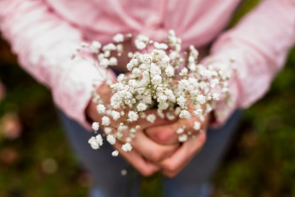 Alternatives to Baby’s Breath: Gypsophila