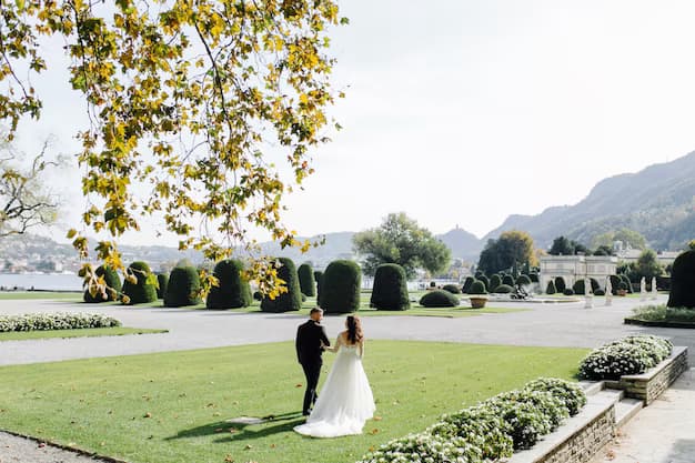 The bride and groom walk along green grass against the backdrop of mountains