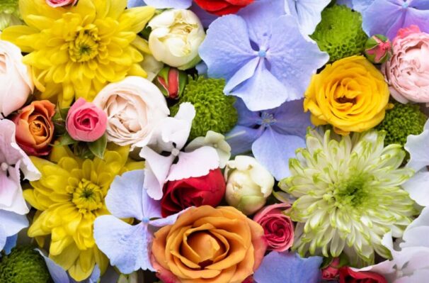 Flowers and Their Healing Powers