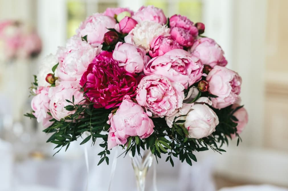 A wedding centerpiece of pink peonies and dark leaves